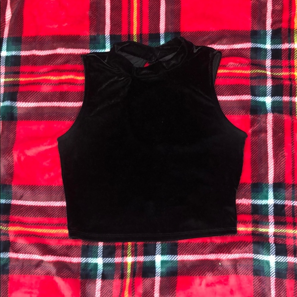 Suede crew neck crop top